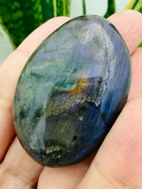 Flashy Labradorite Cabochon Blue Fire Crystal Palm Stone Gemstone for Protection